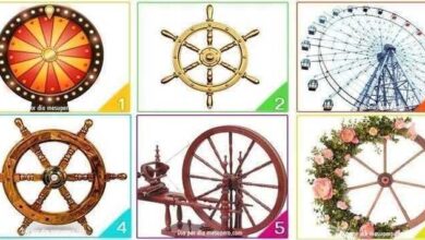 Escolha uma roda e descubra quais mudanças vão acontecer na sua vida nos próximos dias