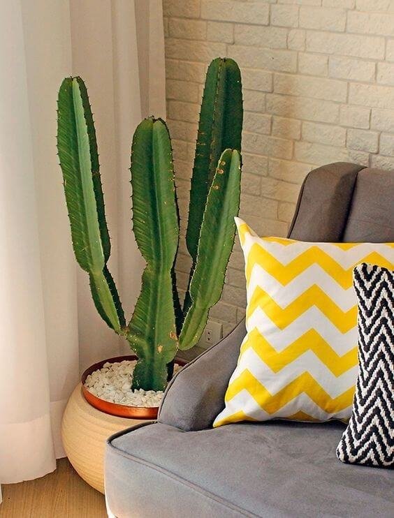 Dicas para reciclar latas