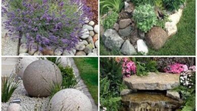 Decoração com Pedras para Jardim