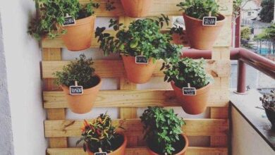 Como Fazer Jardim Vertical | Bau das DICAS