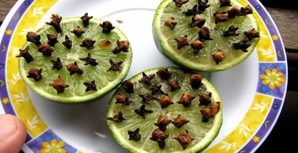 Como Eliminar Mau cheiro da Cozinha - Limão e Cravo