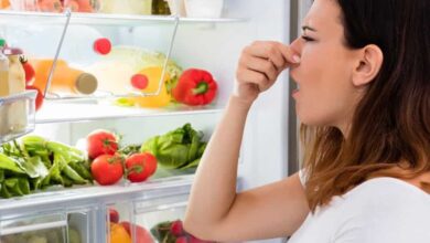 Como-tirar-mau-cheiro-da-geladeira