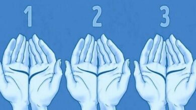 As linhas da sua mão revela algo incrível sobre você 2