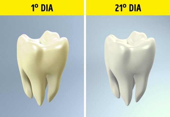 8 Incríveis Benefícios do Brócolis