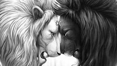 Descubra o lado sombrio de cada signo do Zodíaco