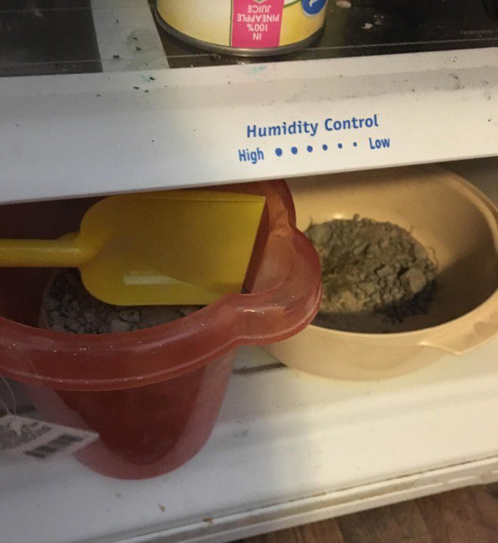 Os 25 animais mais perigosos do mundo.