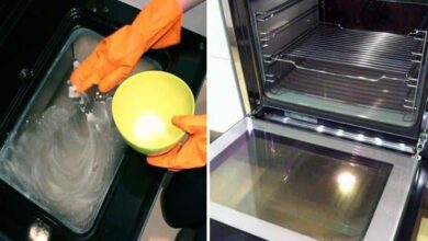 7 Dicas Para Limpar o Vidro do Forno e Deixá-lo Brilhando