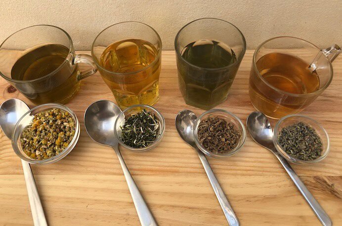 Cebola roxa é potencia anti-diabetes e antibiótico que ajuda a controlar a glicose