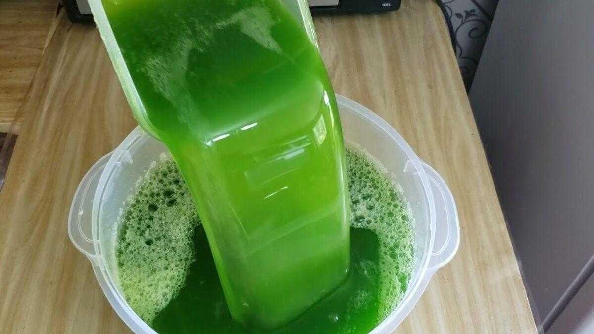 Sabão de folha de mamão em barra e líquido sa