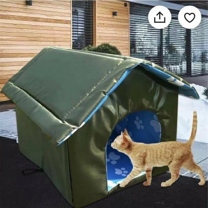 Receita caseira para infecção urinária