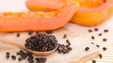 5 Benefícios de comer sementes de mamão