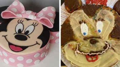 20 desastres culinários que fazem qualquer pessoa perder o apetite