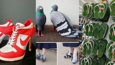 20 modelos de calçados esquisitos que se tornaram sucesso graças aos designers
