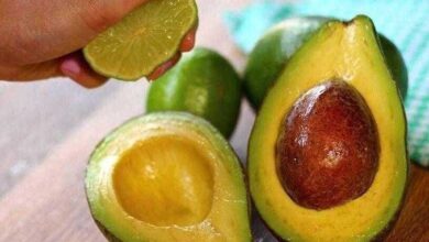 Como conservar um abacate aberto