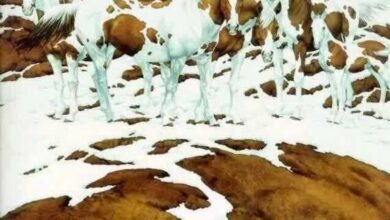 Quantos Cavalos você vê na imagem? Confira 16 fotos incríveis de desafios