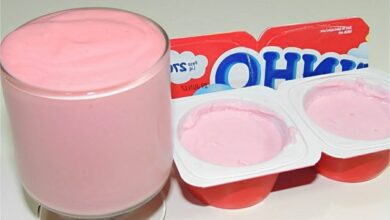 Danoninho caseiro de 3 ingredientes: Receita cremosa e deliciosa!