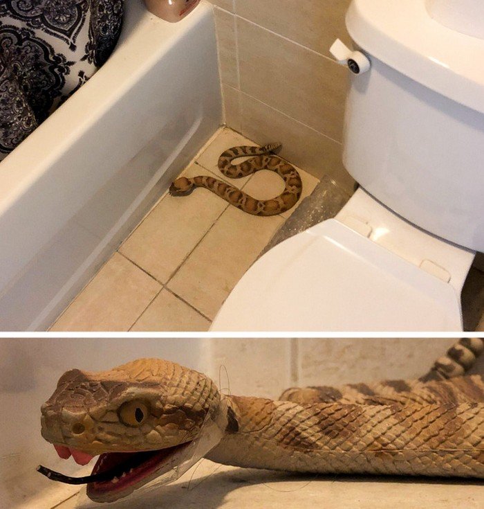 9 Sinais de que seu corpo está com excesso de toxinas