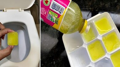 como deixar o banheiro cheiroso por ate 1 semana com