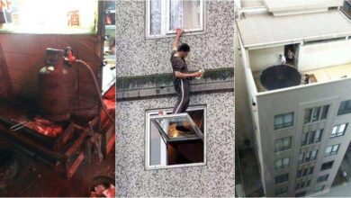 17 pessoas que certamente não conhecem a palavra perigo