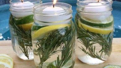 Repelente de insetos 100% natural