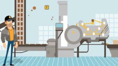 Encontre 1 gato, a maioria não consegue em 10 segundos