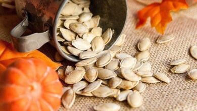 Sementes de Abóbora é bom para emagrecer e diabetes: veja os 22 benefícios
