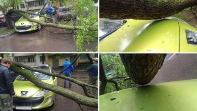 18 coisas que parecem absurdas, mas realmente aconteceram