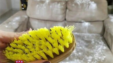 Como lavar sofá em casa igual uma empresa de limpeza com produtos simples que você tem no armário