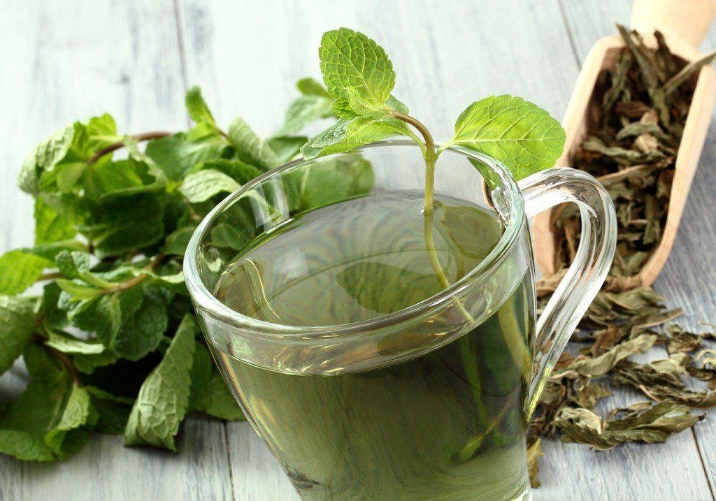 cha de ervas ricas em vitamina c Receita de chá de ervas ricas em vitamina C (como fazer e dicas)