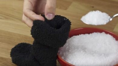 Receitas caseiras da vovó contra dores e constipação