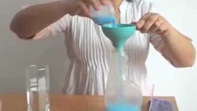 Mistura caseira para criar o seu próprio ambientador doméstico