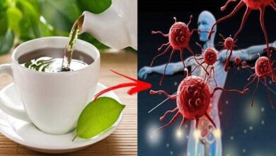 Chás para Aumentar a Imunidade dd