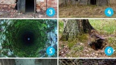 Qual imagem dá mais medo? A resposta pode relevar traços de sua personalidade