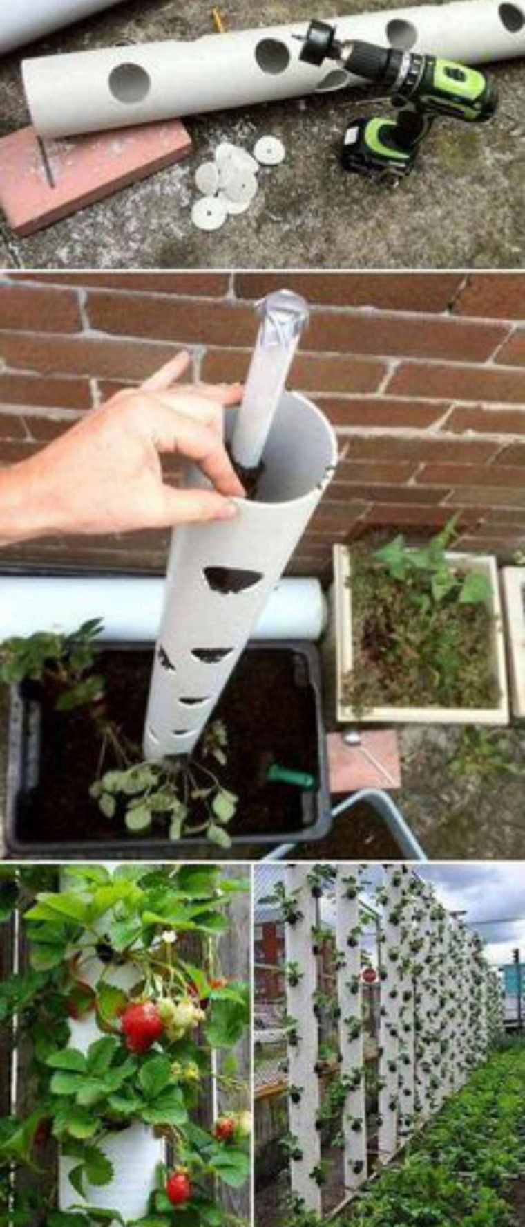 Misture Alho, Cravo e Canela: Um Antigo Segredo da Vovó para Aliviar a Tosse