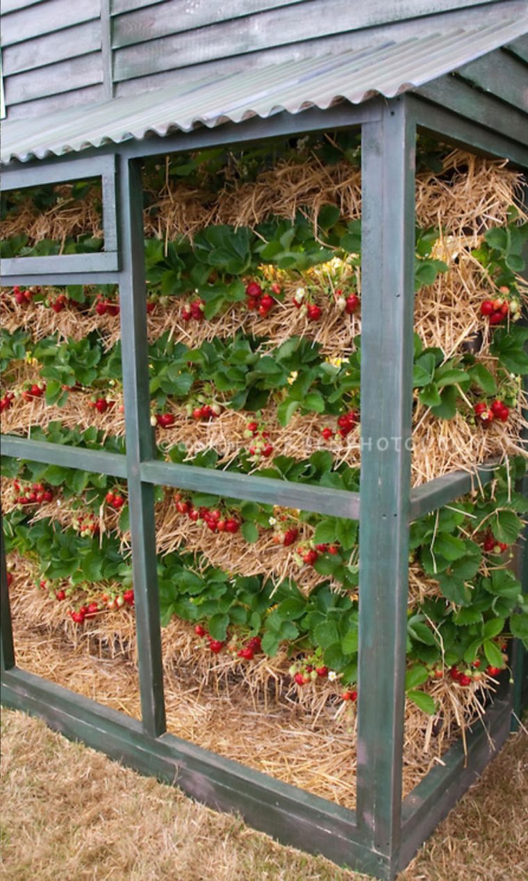 Como fazer doce de amendoim s