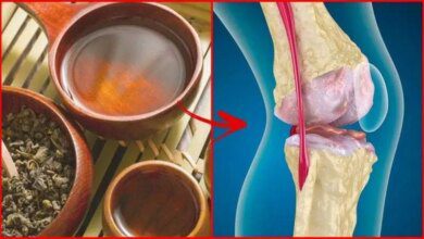 Receitas de chás para tratar dor nos ossos FF