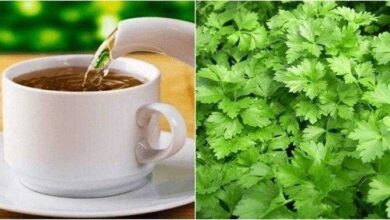 Chá de salsa emagrece e cuida da sua saúde