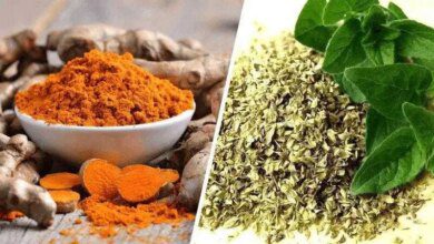 6 ervas vão acabar com a inflamação e melhorar sua capacidade de raciocínio