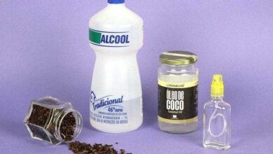 11 receitas de repelente caseiro para insetos