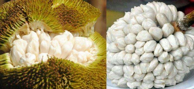 15 frutas diferentes que você talvez nunca tenha visto a