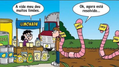 13 tirinhas malucas e bem fiéis à realidade ao mesmo tempo