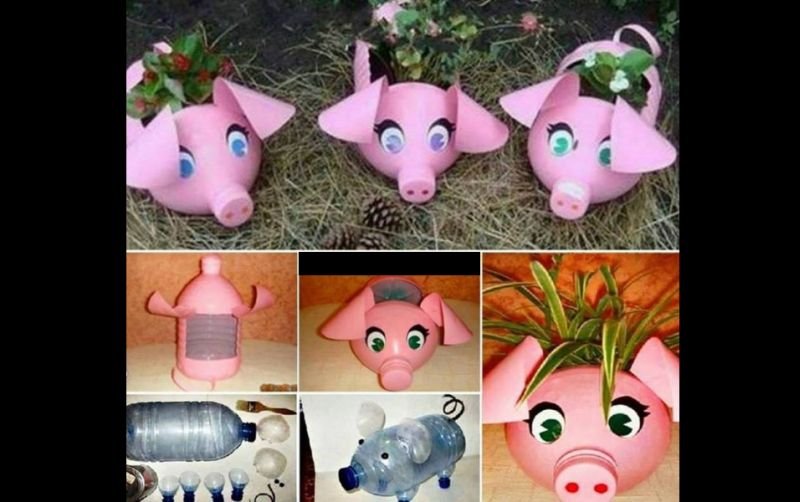 reciclagem de garrafa pet porco