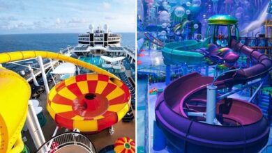 Os 22 toboáguas mais legais e assustadores do mundo