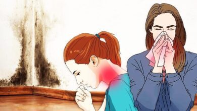 7 Sinais que o mofo está em sua casa e está destruindo seu corpo!
