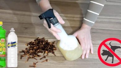 Repelente de xixi caseiro para educar o seu cachorro a não urinar dentro de casa