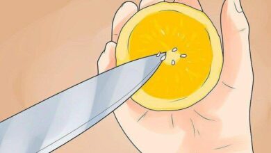 Semente de Laranja para que serve? É boa para imunidade e dor de cabeça