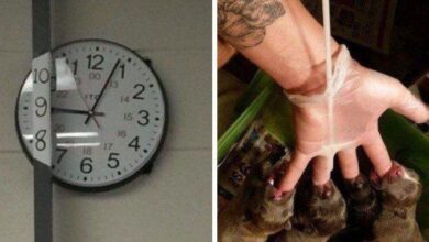 20 pessoas que improvisaram tão bem que deveríamos dar um prêmio a elas