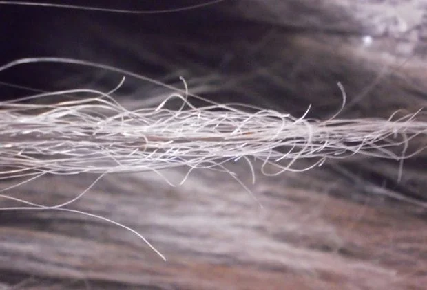 Porque o cabelo fica emborrachado?