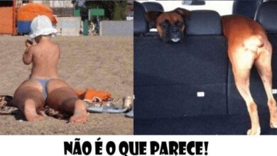 Isso não é o que parece! Confira 15 destas confusas fotos