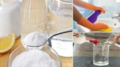 Dicas para desinfetar a sua casa de forma natural